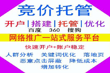 百度推广操作指南：案例解析